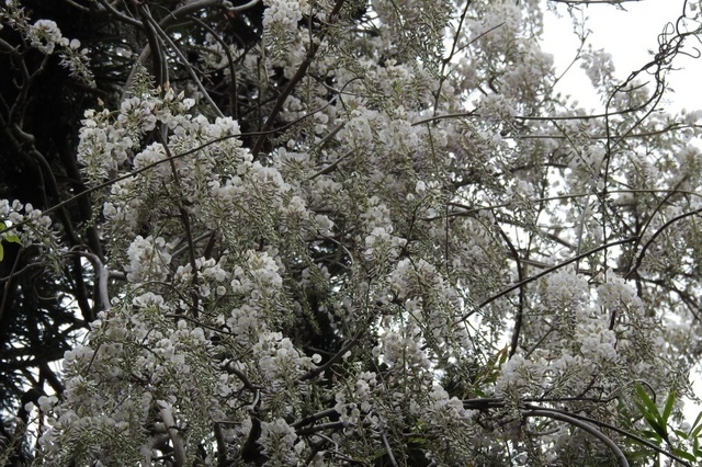 DSCN3891.jpg