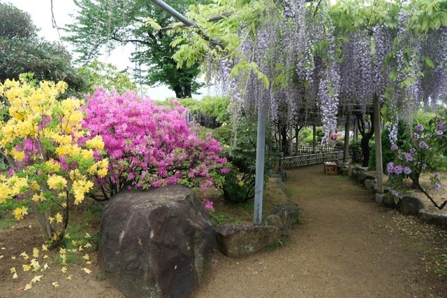 P1003880.jpg