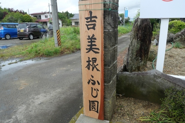 P1003882.jpg