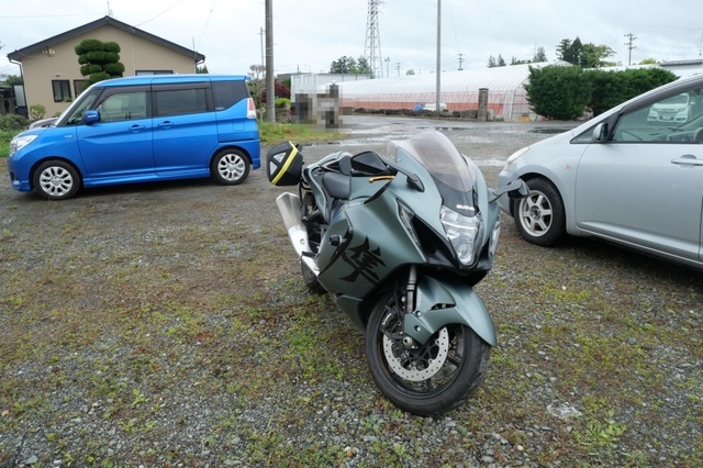 P1003884.jpg