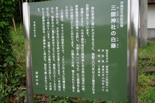 P1003907.jpg