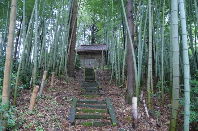 P1003913.jpg