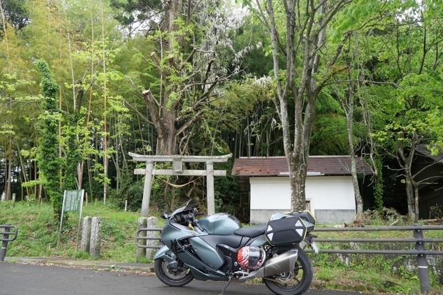P1003926.jpg