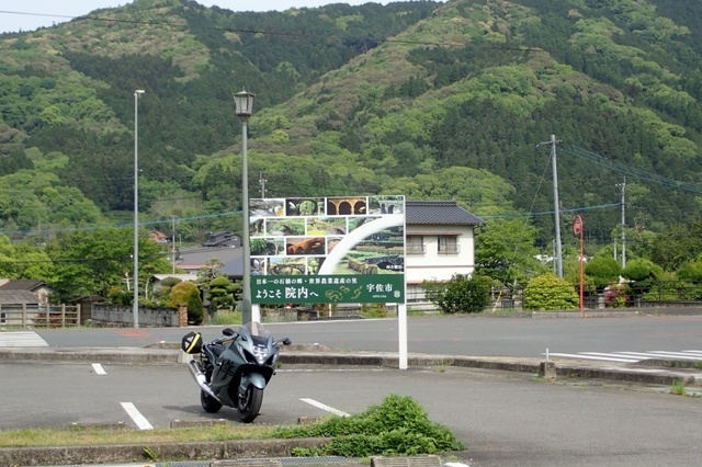 P5010093.jpg