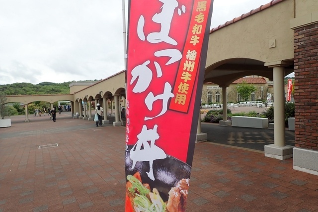 P5020155.jpg
