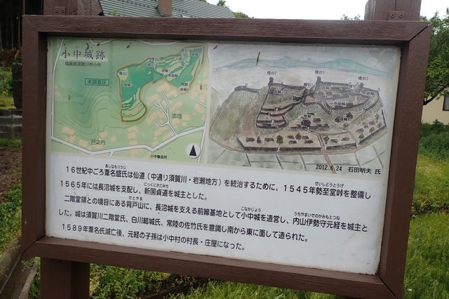 P5100020.jpg