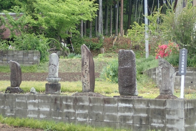 P5100021.jpg